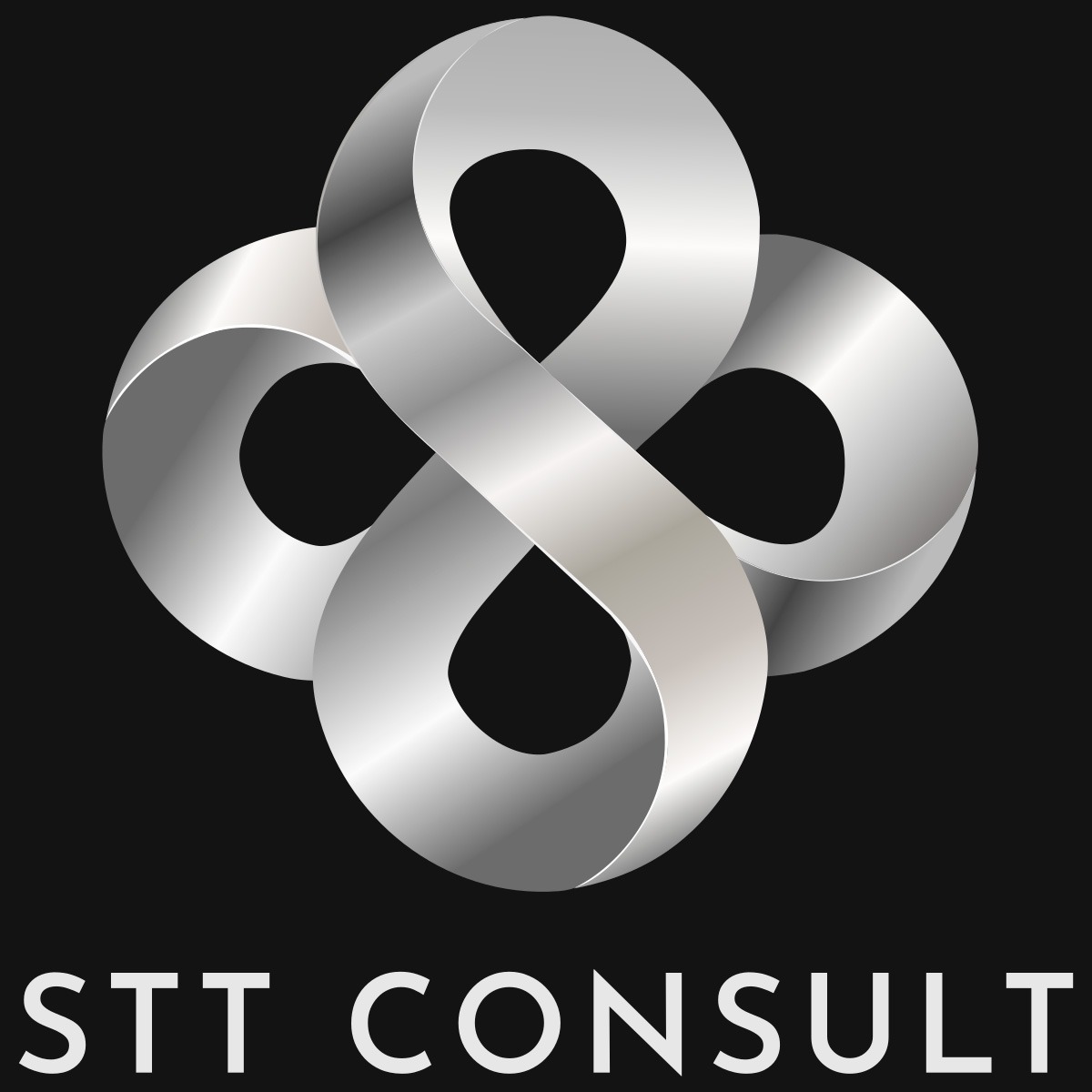 Logo STT CONSULT